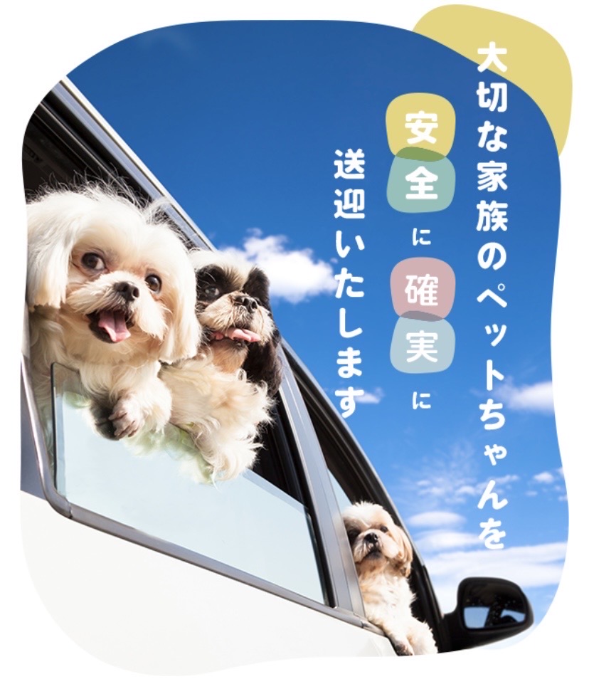 ペットタクシーcocoタク福岡東 - 大切なペットを安全に送迎